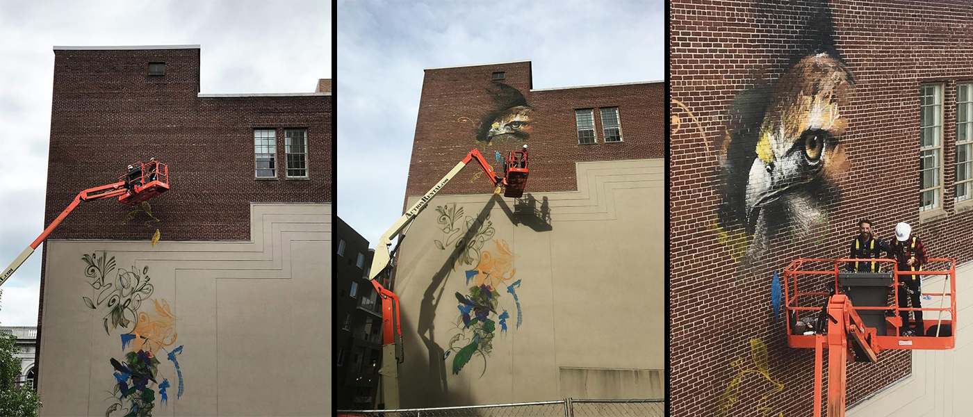 City Center Investment Corp. commissions three murals for downtown Allentown’s Artswalk